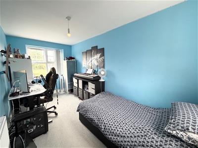 Picture 15